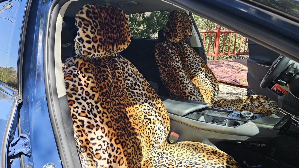 Car Seat Covers