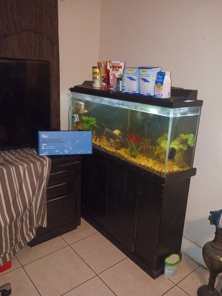 Fish Tank And Fishes And Attached Cabinet