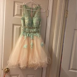 Prom Or Dance Dress