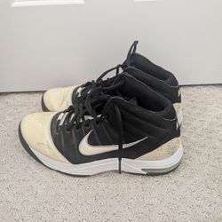 Nike Air Max Go Basketball Shoes 10.5