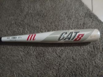 Cat 8