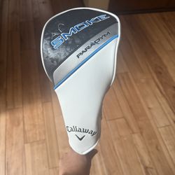 AI smoke driver 10.5