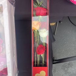 Mother's Day Gift