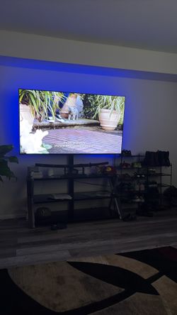 55” tv and stand