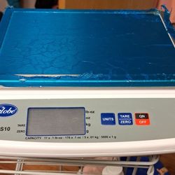 GLIOBE GPS 10 SCALE 
