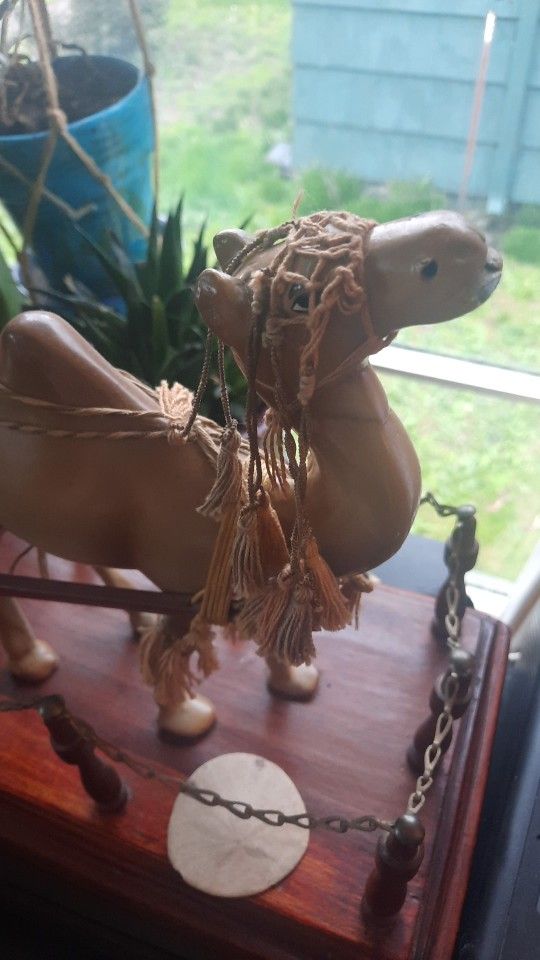 Unique 1900S Camel pulling cart"Dromedary"