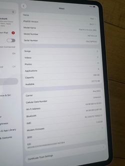 13” iPad Pro M5 Chip WiFi and cellular 256G
