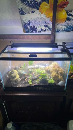 10gallon tank.