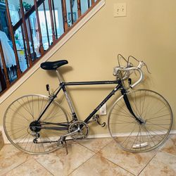 Fuji Sagres VAlite 411 bike