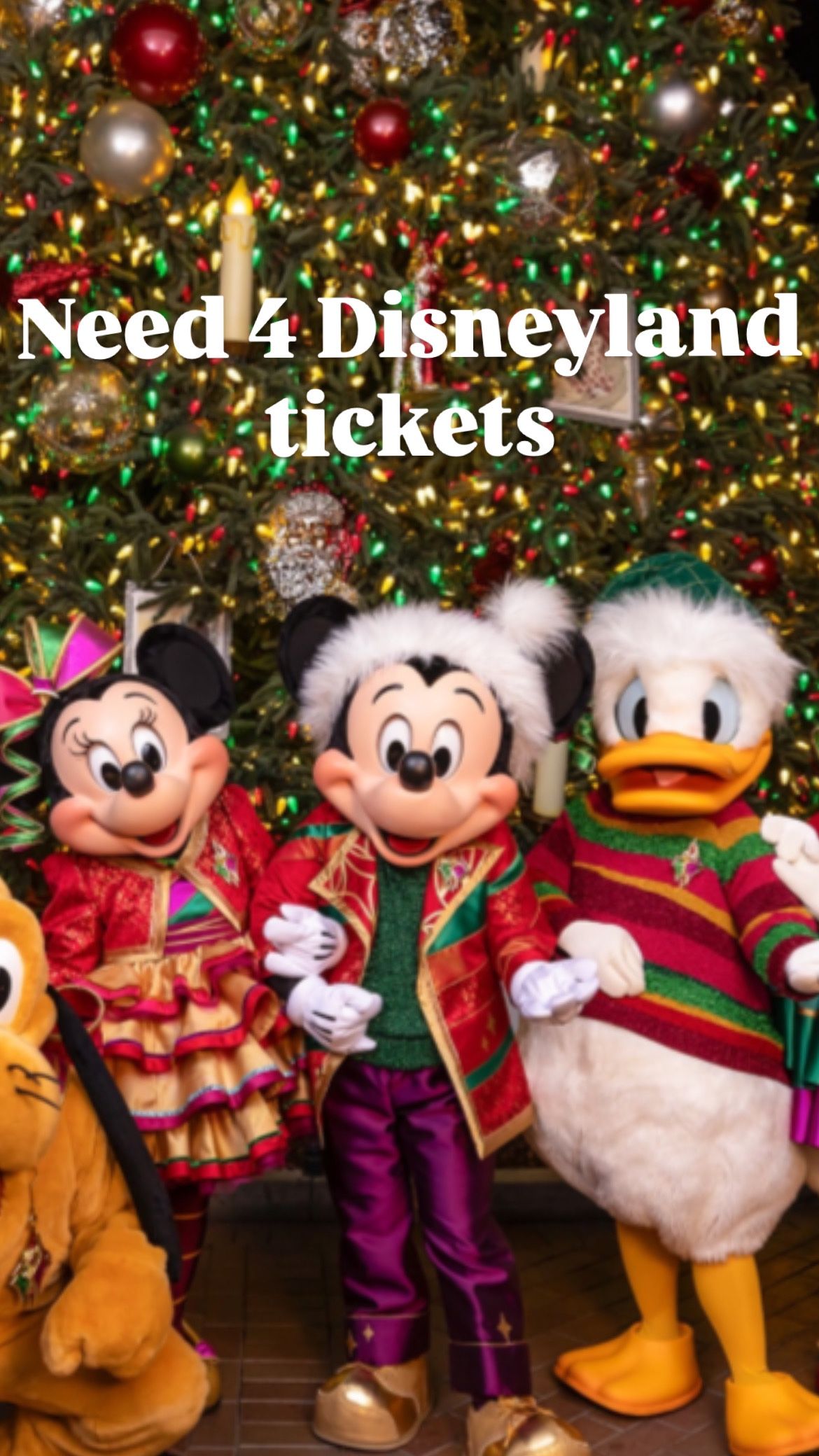 Disneyland Ticket Hoppers