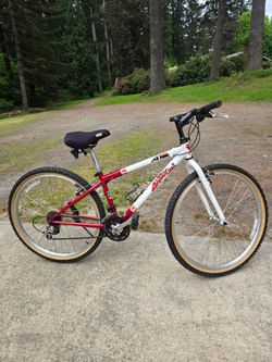 Barracuda 21 speed bicycle