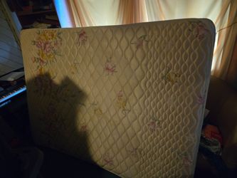 Free queen matress and boxspring and headboard