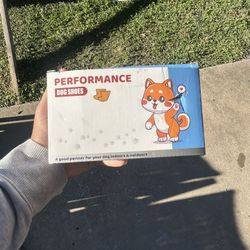 Dog shoes 