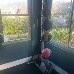 CAP Barbell 42 LB Medicine Ball Set with a vertical storage rack