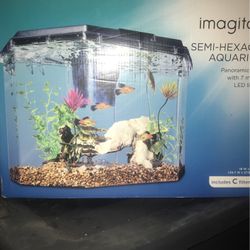 Fish Tank
