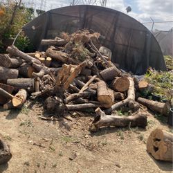 Firewood