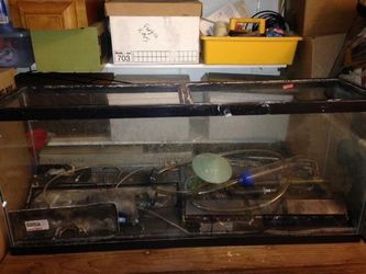 55 gallon aquarium w/coral