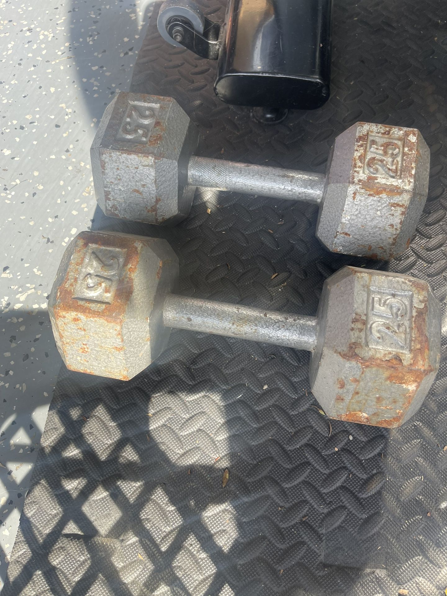 25lb Dumbbell Weights 