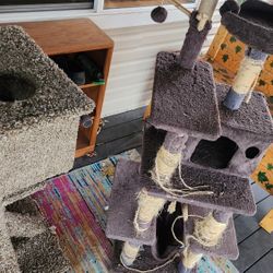 Two Cat Trees For 25 Bucks 