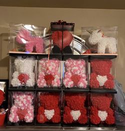 Rose 🌹 Bears $35