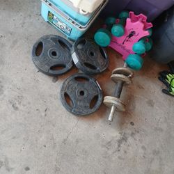 Weights 