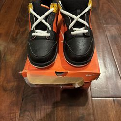 Nike Sb Raygun Sz 11.5(Used)