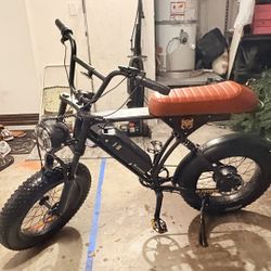 Cycrown Ebike Read Description 