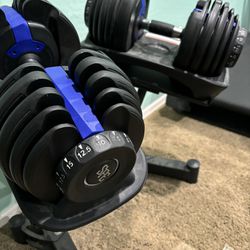 Sfe Adjustable Dumbbell Set 52 Pounds With Stand