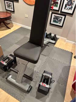 Body solid workout bench