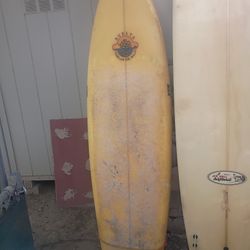Mid Length Fish Surfboard