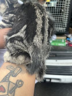 Beautiful and ready to go