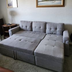 Light Gray Sleeper Sectional Sofa Bed with Pullout Bed & Storage Chaise