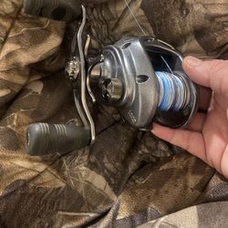 Diawa Lexa Fishing Reel
