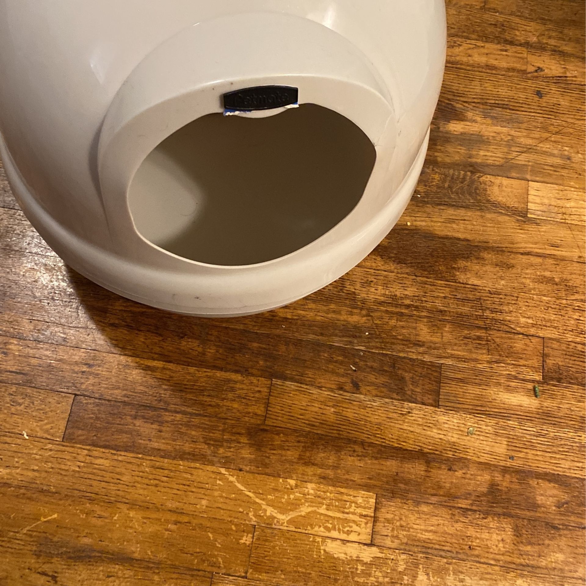 Cat Igloo Litter Box -Free 