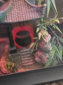 Fish Tank