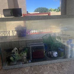 Fish Tank 