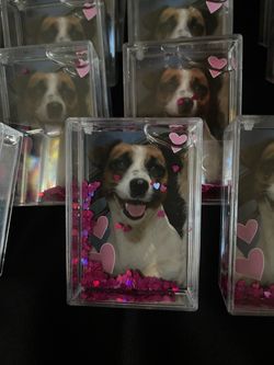 New 2x3 Glitter Picture Frames Snow Globe