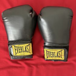Everlast Boxing Gloves