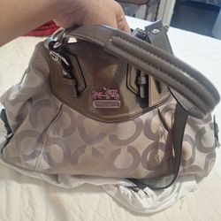 Bolsa coach tiene unas manchitas