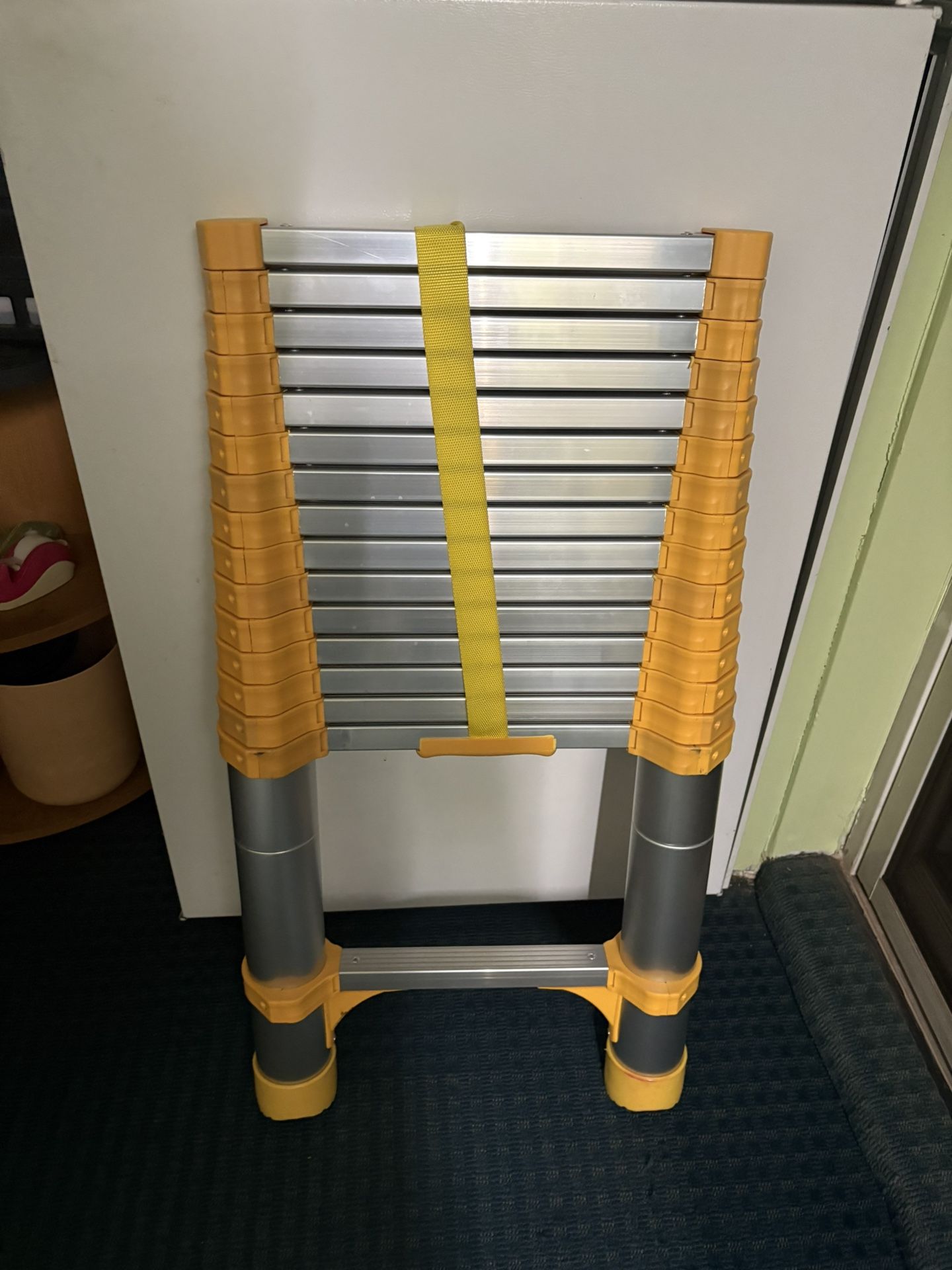 Telescoping Ladder (BRAND NEW)