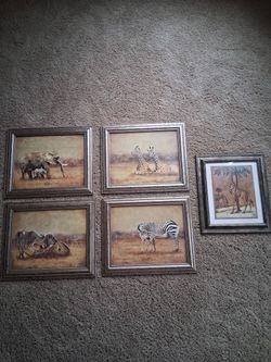 Wildlife Safari Pictures
