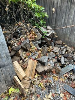 Lots Of Dried Wood 🪵