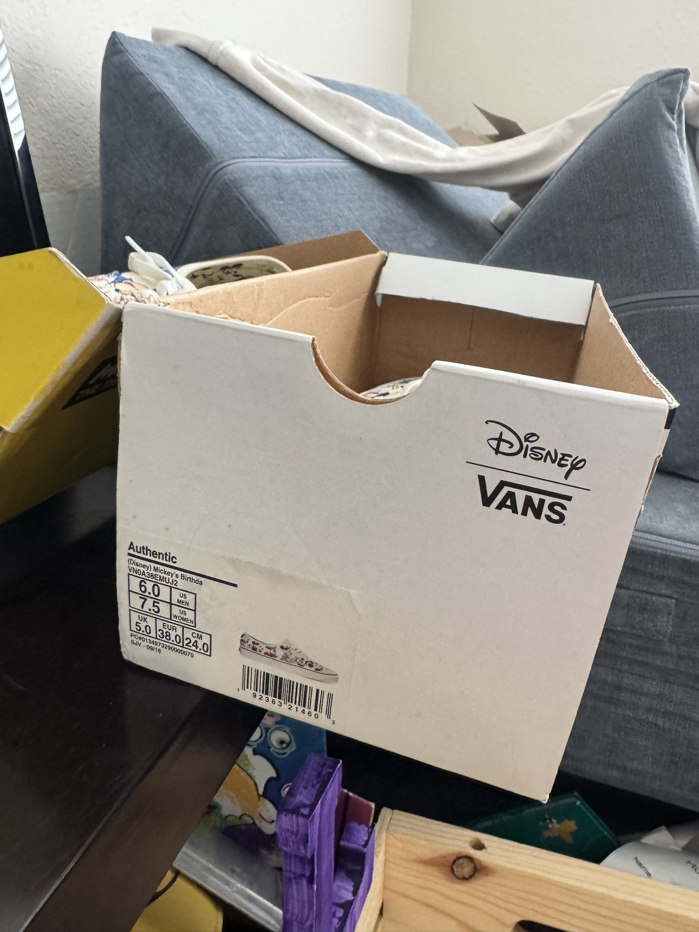 Mickey Mouse Vans 