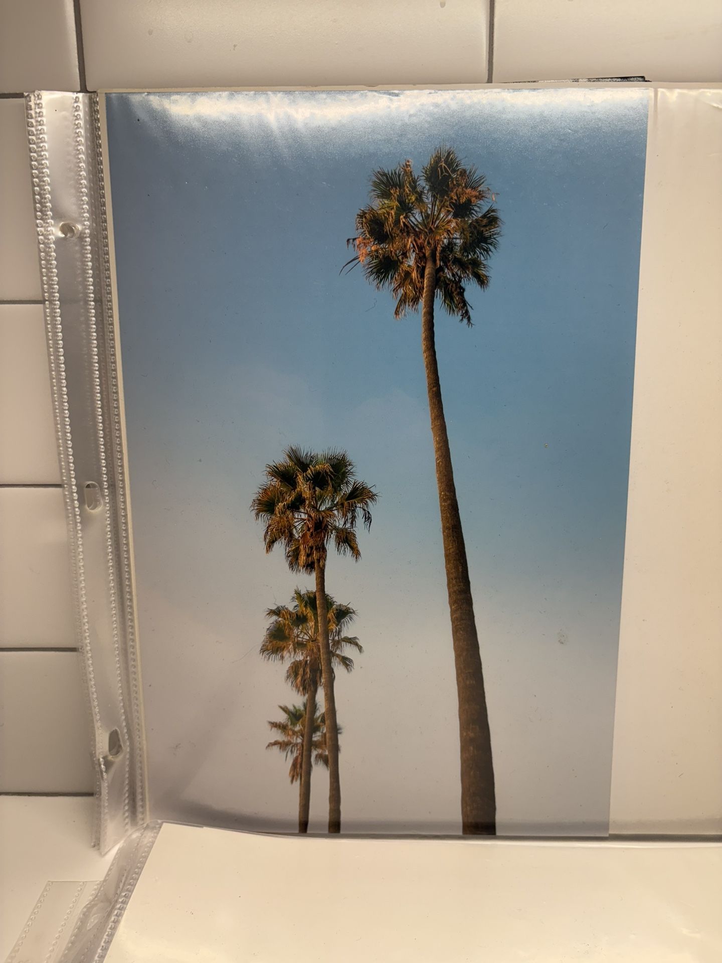 Wall Art - Digital Prints