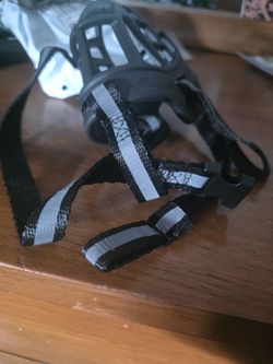 Muzzle For A Small Dog