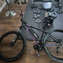 ebike conversion kit