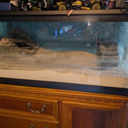 Aquarium Set Up