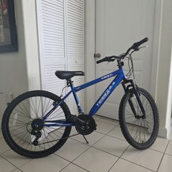 Kent Terra 2.4 mountain bike