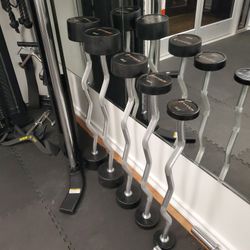 Ez Bar Curl