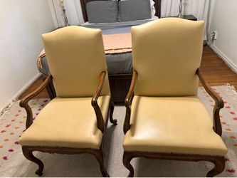 Lily & Jack set of 2 Traditional arm chairs